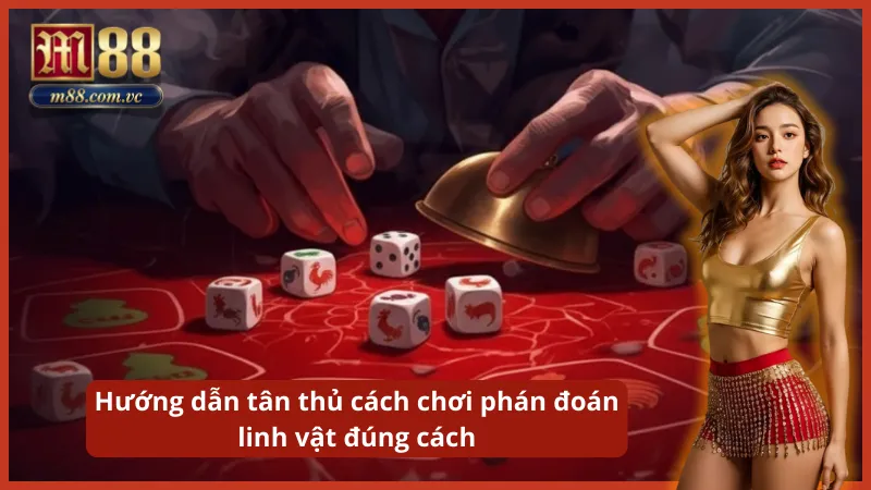 Thao tác xuống tiền dứt khoát trước khi Dealer thực hiện mở bát.