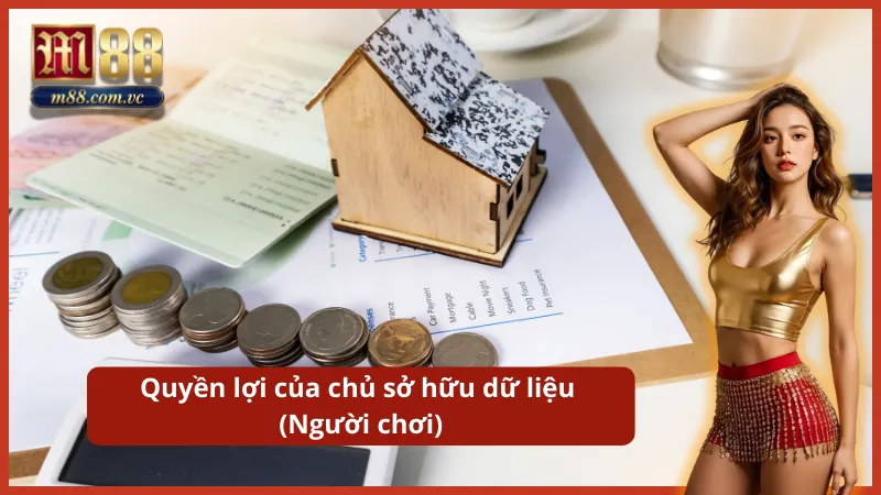 Quyền lợi của chủ sở hữu theo chính sách bảo mật
