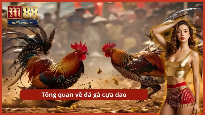 Cuộc chiến sinh tử kịch tính với những đòn đánh gây sát thương cực lớn.