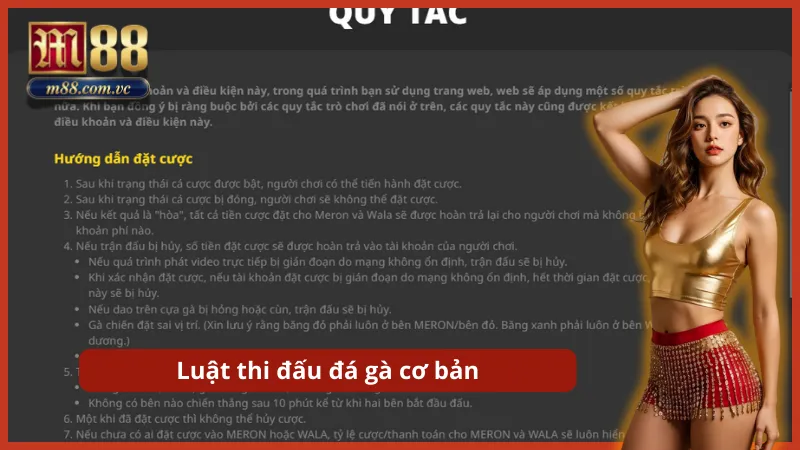 Quy định xử thua khi chiến kê bỏ chạy hoặc mất hoàn toàn khả năng chiến đấu.