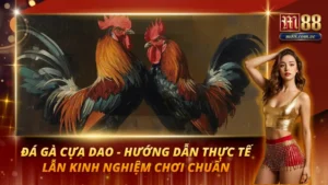 Đá Gà Cựa Dao