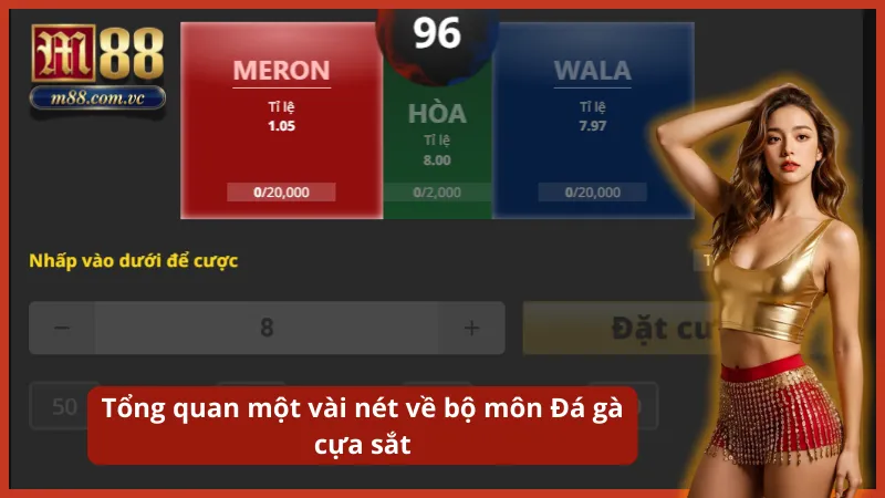 Những đòn đánh kết liễu chớp nhoáng đặc trưng của thể thức đá gà cựa dao.