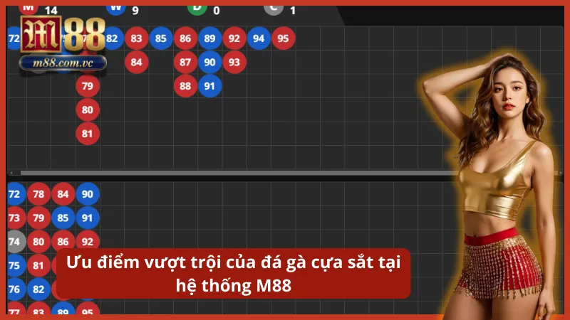 Tường thuật trực tiếp chất lượng HD từ các trường gà Thomo và Philippines uy tín.