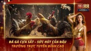 Đá Gà Cựa Sắt