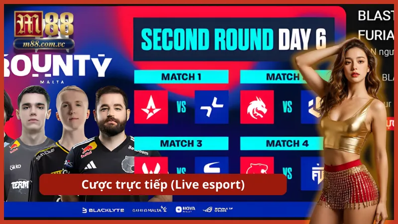 Theo dõi diễn biến trận đấu và vào tiền theo tỷ lệ kèo rung thay đổi theo thời gian thực.