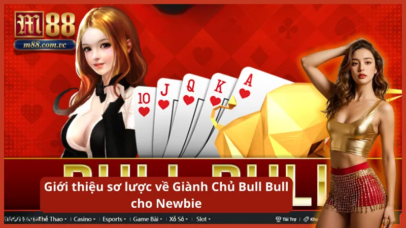 Trò chơi so bài kịch tính dựa trên khả năng tính toán 5 lá bài.