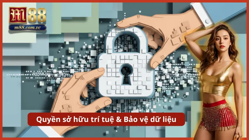 Quyền sở hữu trí tuệ và bảo vệ dữ liệu theo chính sách miễn trừ trách nhiệm
