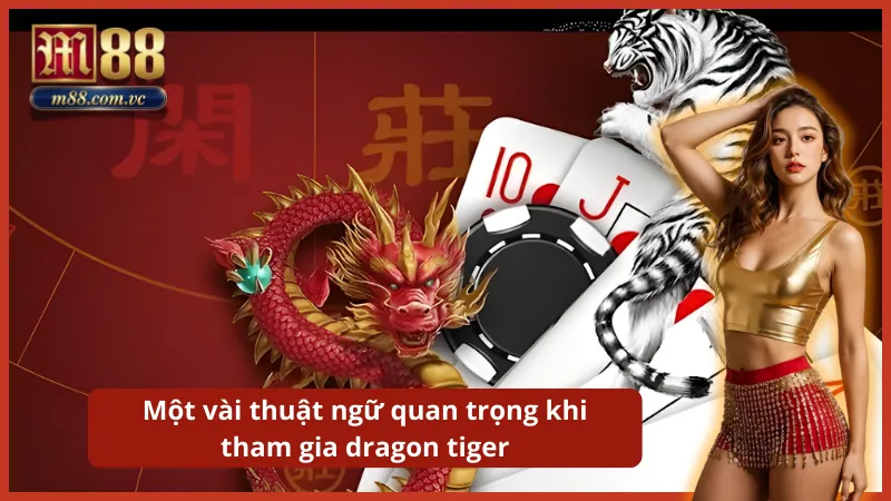 Nắm vững ý nghĩa các cửa cược Rồng (Dragon), Hổ (Tiger) và Hòa (Tie).