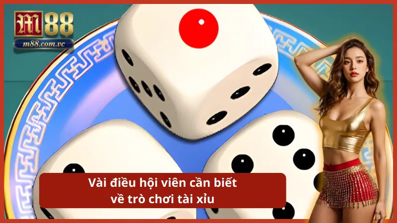 Trò chơi dự đoán kết quả của 3 viên xí ngầu được lắc trong lồng kính.