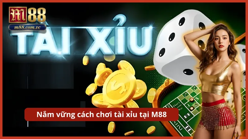 Lựa chọn cửa Tài (11-17) hoặc Xỉu (4-10) dựa trên tổng điểm hiển thị.