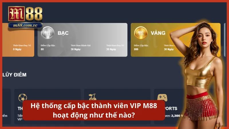 Tháp danh vọng với 5 cấp bậc từ Phổ thông đến Kim Cương quyền lực.