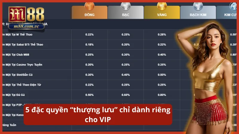 Tận hưởng tỷ lệ hoàn trả cao nhất và chế độ chăm sóc khách hàng ưu tiên.