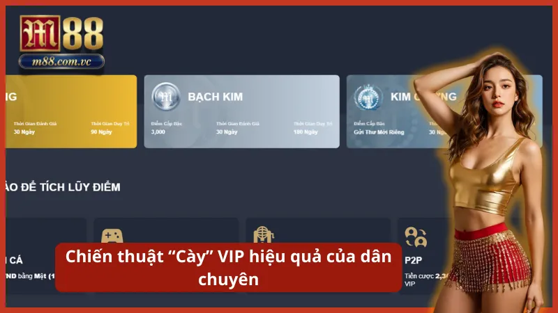 Chiến thuật cày lên thành viên VIP M88 đơn giản