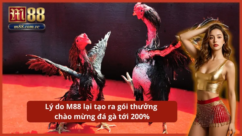 Gói ưu đãi "siêu to" giúp nhân đôi vốn cược cho các kê thủ máu lửa.