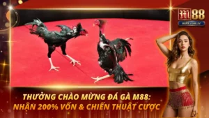 Thưởng Chào Mừng Đá Gà M88