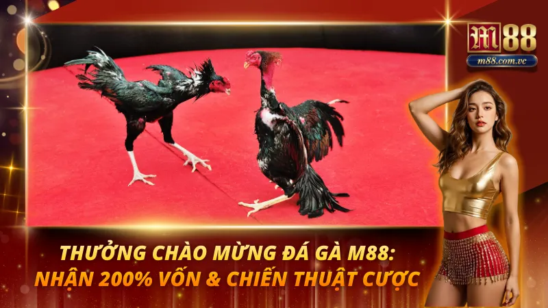 Thưởng Chào Mừng Đá Gà M88
