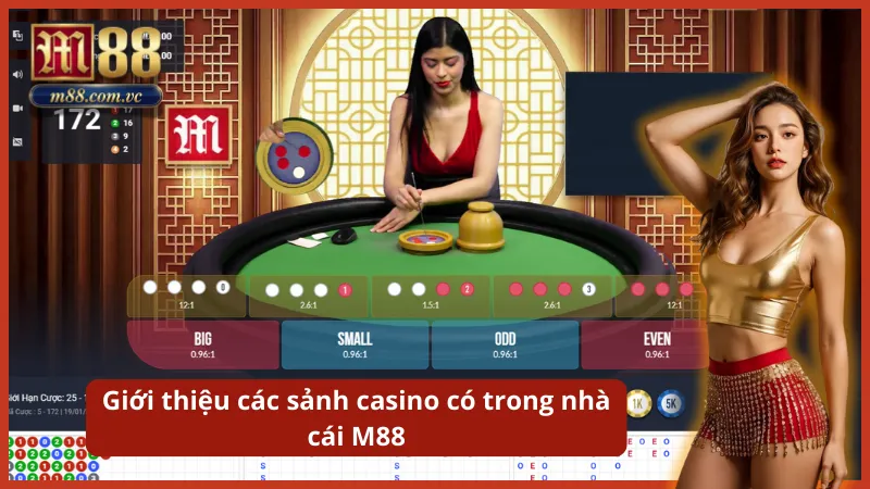 Đa dạng lựa chọn với các sảnh cược danh tiếng như Club M88, AG, hay Evolution.