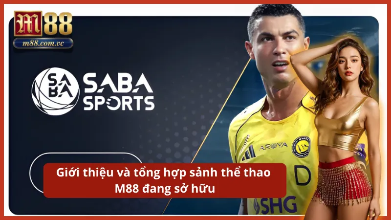 Sân chơi cá độ thể thao hàng đầu Châu Á với hệ thống kèo nhà cái chuẩn xác nhất.