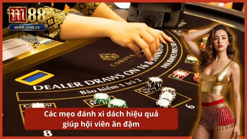 Quyết định Rút (Hit) hay Dừng (Stand) dứt khoát dựa trên lá bài ngửa của Dealer.
