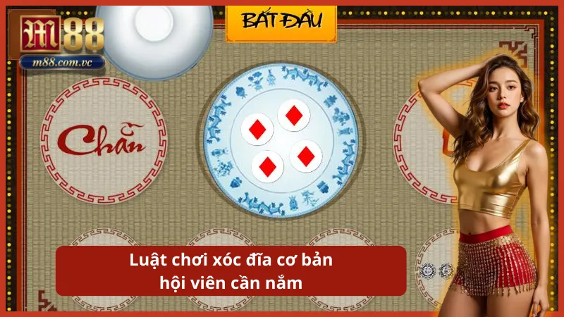 Dự đoán kết quả sấp ngửa của 4 quân vị sau khi Dealer mở bát.